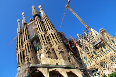 Sagrada familia için Barselona, cataloni, İspanya