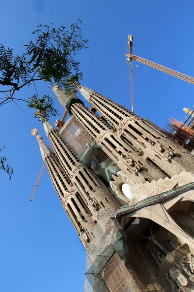 Sagrada familia w Barcelonie, Katalonia, Hiszpania — Zdjęcie stockowe