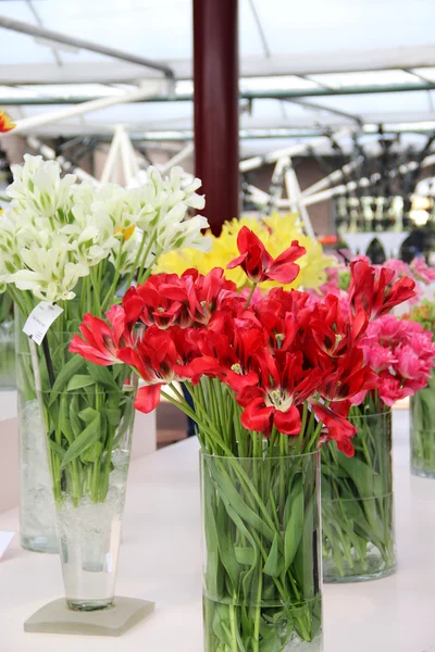 Grand mélange de fleurs étonnantes dans des vases — Photo