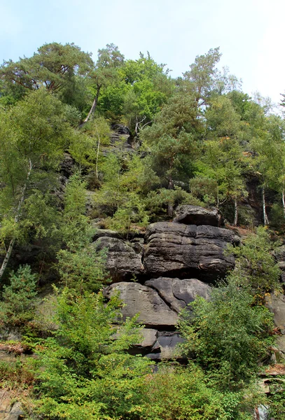 Nationalpark Tschechische Schweiz, Tschechische Republik — Stockfoto