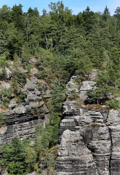 Nemzeti park Cseh Svájc, Cseh Köztársaság — Stock Fotó