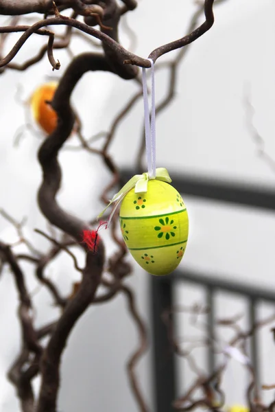 Пасхальные яйца висят на дереве — стоковое фото
