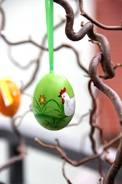 Handmade easter colored eggs hanging on the tree — Stock Photo, Image
