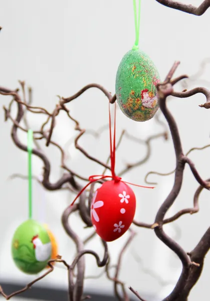 Uova di Pasqua appese all'albero — Foto Stock