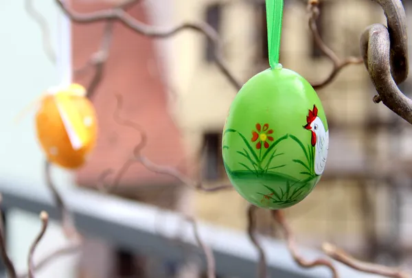 Easter eggs hanging on the tree — Stock Photo, Image