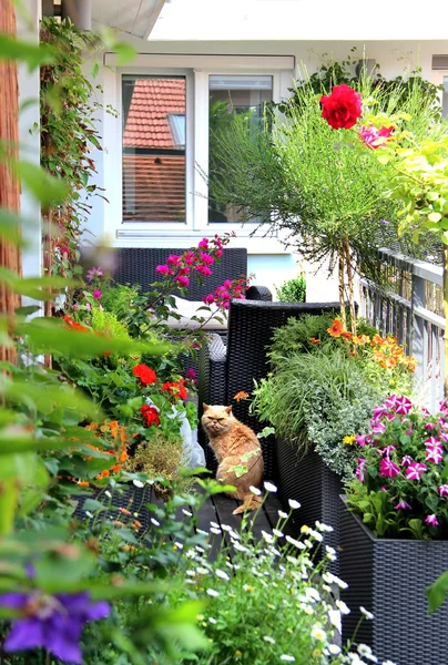 Beautiful modern terrace with a lot of flowers — Stock Photo, Image