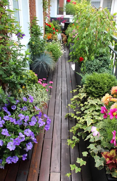 Schöne moderne Terrasse mit vielen Blumen — Stockfoto