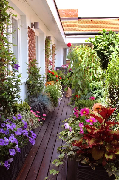 Hermosa terraza moderna con un montón de flores —  Fotos de Stock