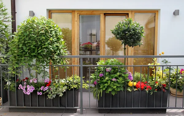 Belle terrasse moderne avec beaucoup de fleurs Photo De Stock
