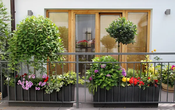 Belo terraço moderno com um monte de flores Fotografia De Stock