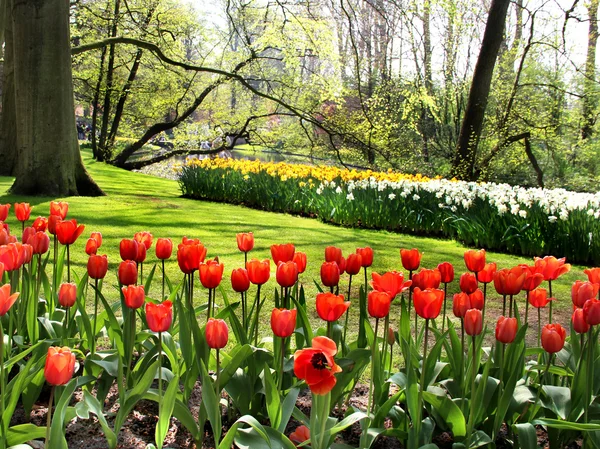 Krásný park na jaře s rybníkem — Stock fotografie