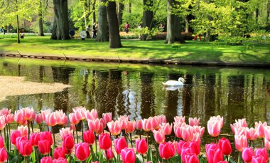 Güzel park su birikintisi bahar