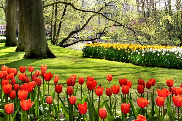 Beau parc au printemps avec étang — Photo