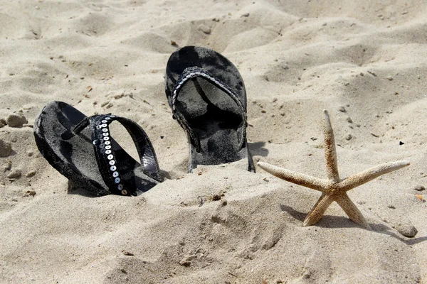 Sommerschuhe am Strand und Seesterne — Stockfoto