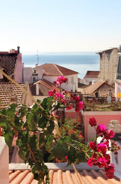 Belo terraço mediterrâneo com flores — Fotografia de Stock