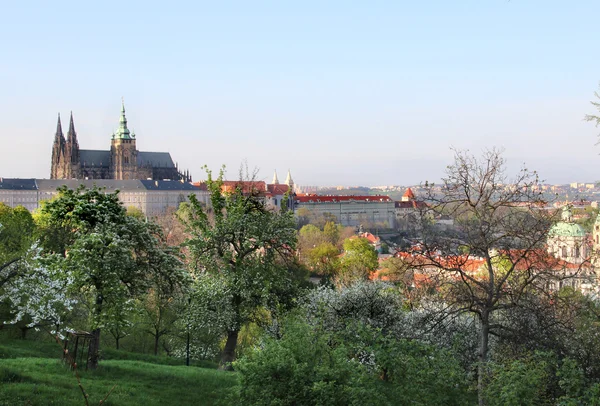 Замок Огюст и цветущие деревья, Чехия — стоковое фото