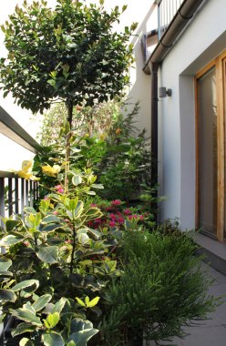 çiçekler çok güzel Teras