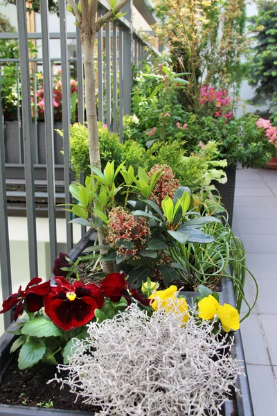 Belle terrasse avec beaucoup de fleursb — Photo