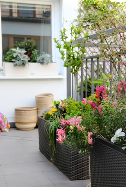 Schöne moderne Terrasse mit vielen Blumen — Stockfoto