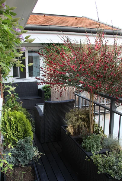 Belo terraço moderno com um monte de flores — Fotografia de Stock