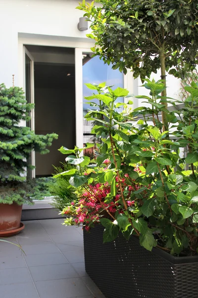 Schöne moderne Terrasse mit vielen Blumen — Stockfoto