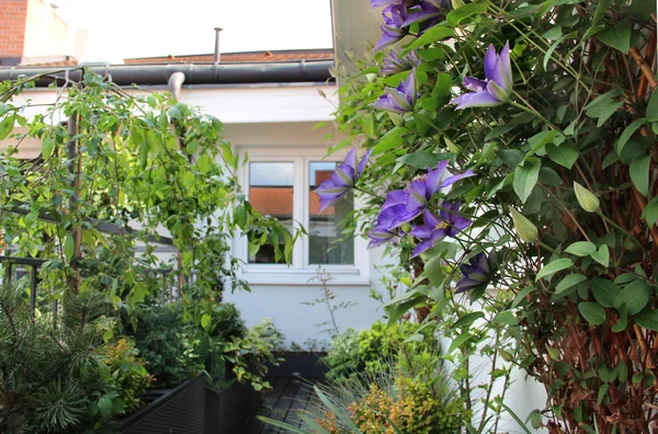 Schöne moderne Terrasse mit vielen Blumen — Stockfoto