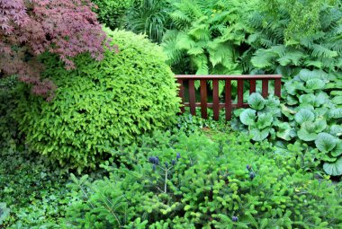 Güzel bir ev bahçe gölet ile