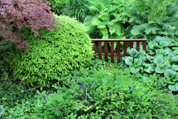 Dom piękny ogród z oczkiem wodnym — Zdjęcie stockowe
