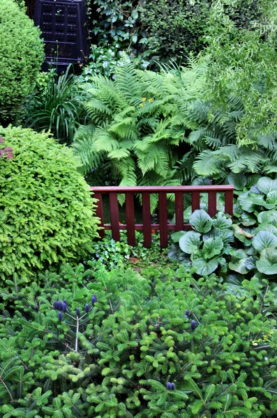 Dom piękny ogród z oczkiem wodnym — Zdjęcie stockowe