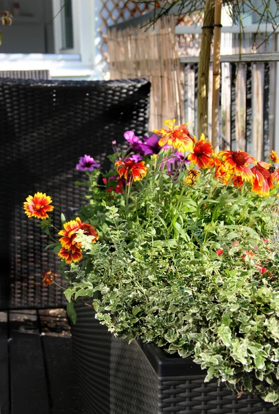 Piękny taras z dużą ilością kwiatów — Zdjęcie stockowe