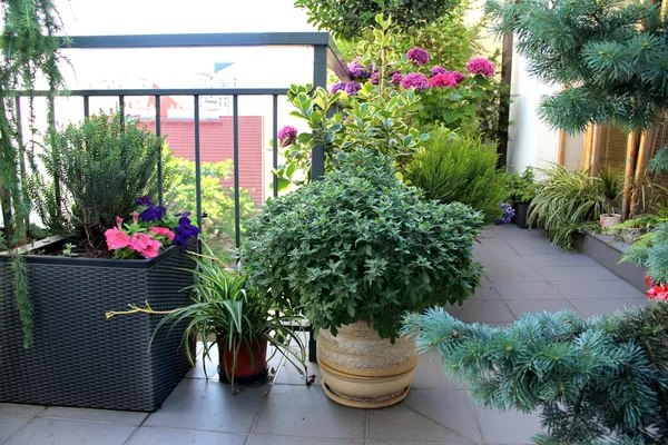 Beautiful terrace with a lot of flowers — Stock Photo, Image