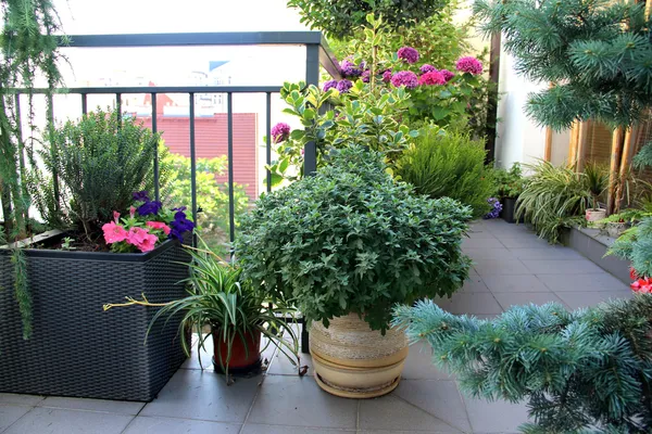Belle terrasse avec beaucoup de fleurs Images De Stock Libres De Droits