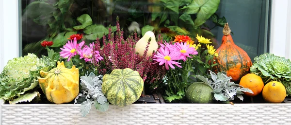 Mix of beautiful vivid terrace fall flowers and pumpkin — Stock Photo, Image