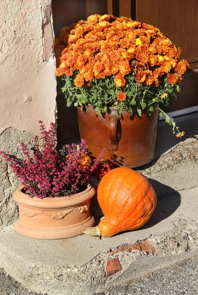 Mezcla de hermosas flores de otoño terraza — Foto de Stock
