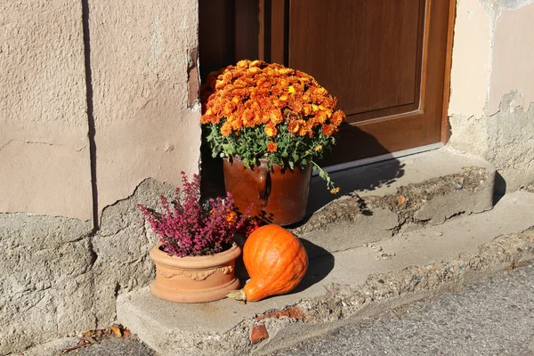 Mezcla de hermosas flores de otoño terraza — Foto de Stock