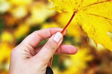 kadının elindeki sarı yaprak