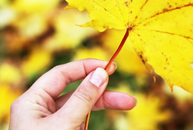 kadının elindeki sarı yaprak