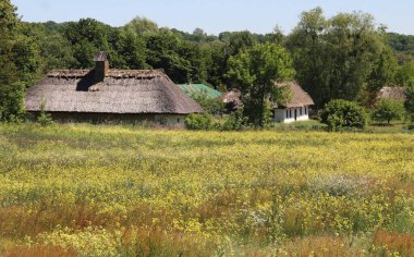 Ukrayna 'nın otantik evleri ve kırsal kesimlerinin güzel manzarası