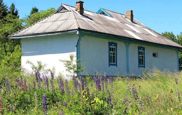 Vacker Utsikt Över Ukrainska Autentiska Hus Och Landsbygd — Stockfoto