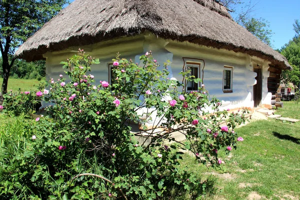 Hermosa Vista Ukranian Casas Auténticas Countrysid —  Fotos de Stock