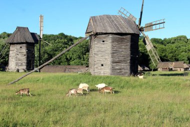 Ukrayna 'nın otantik evleri ve kırsal kesimlerinin güzel manzarası