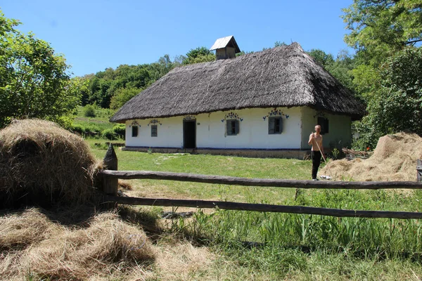 Vedere Frumoasă Caselor Autentice Ucrainene Zonei Rurale — Fotografie, imagine de stoc