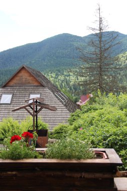 Karpat Dağları 'nın güzel manzarası ve Ukrayna' nın şaşırtıcı doğası