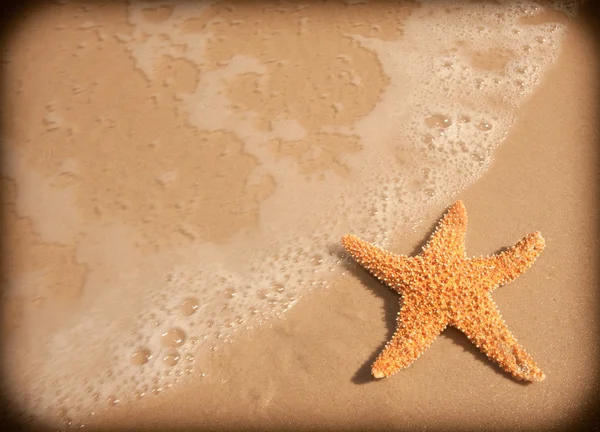 Océan et étoile de mer — Photo