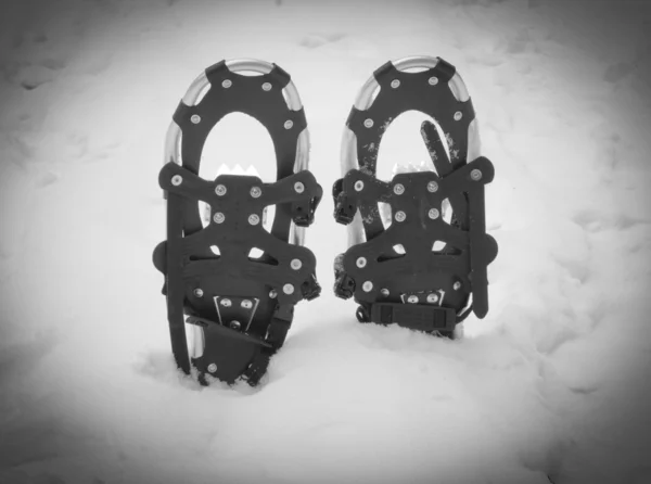 Snowshoes Winter — Stock Photo, Image