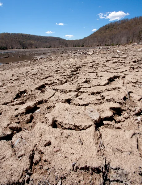 Fissures de boue — Photo