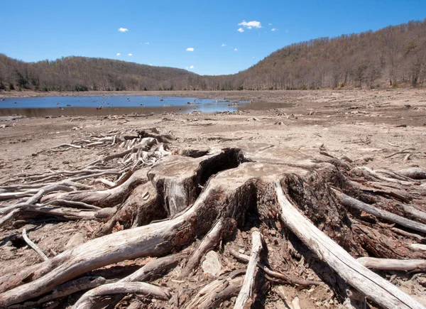 Opgedroogde lake — Stockfoto