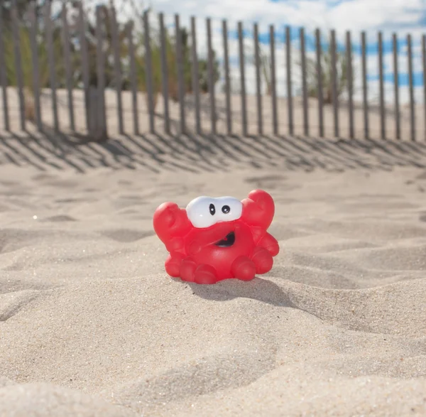 Caranguejo feliz na praia — Fotografia de Stock