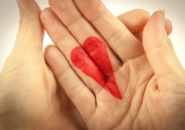 Holding A Heart — Stock Photo, Image