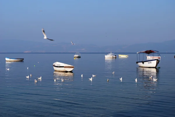 Fishing boats — Stock Photo, Image